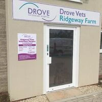 Front_Door.7dde867d6c8a6a57b4c2281a69a89a15