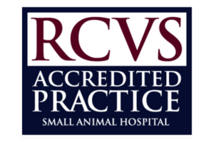 RCVS Accredited Practice: Small animal hospital logo